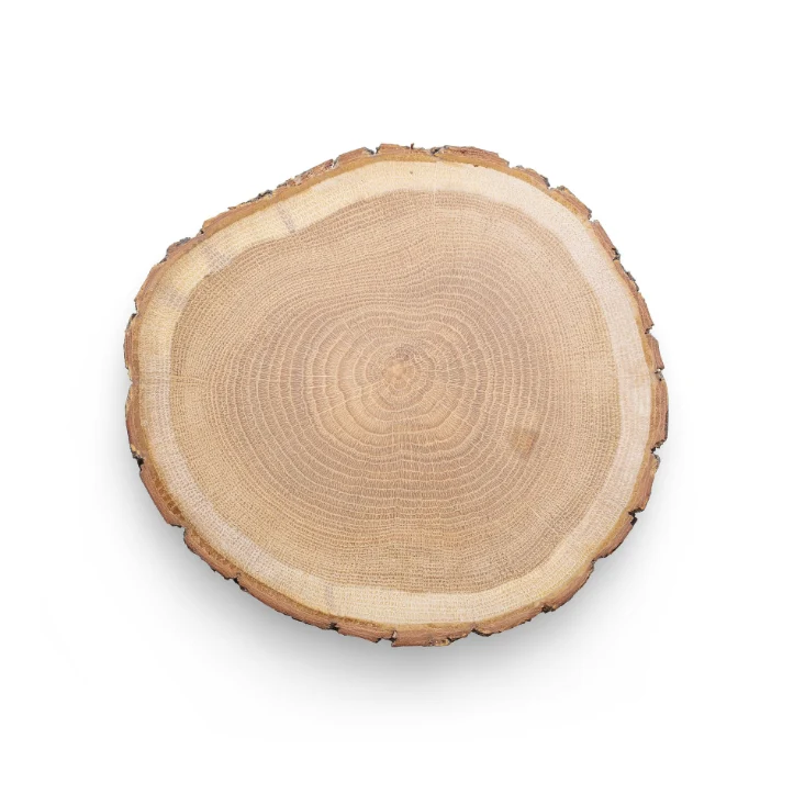 Mobilier sur-mesure en bois massif, conçu et fabriqué à la main à Divonne-les-Bains, au coeur du Pays de Gex. Chaque création originale allie savoir-faire artisanal, design d'intérieur et matériaux nobles pour un aménagement d'intérieur unique et personnalisé. Du plan 3D à la réalisation finale, chaque meuble en bois est pensé pour s'intégrer harmonieusement à votre espace et refléter votre style.